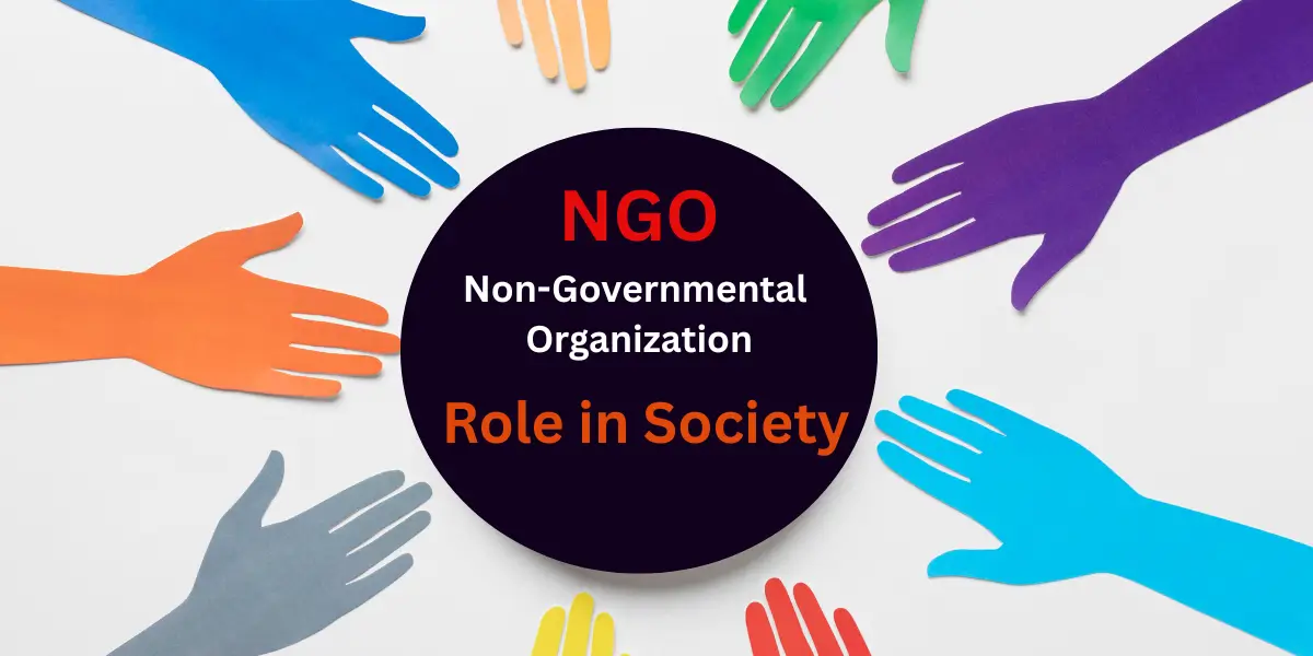 What is an NGO? What is its Role in Civil Society?